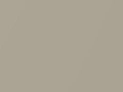 Champagne Metallic touch-up paint for Mitsubishi, code CMS10008, S08, 2006