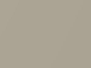 Champagne Metallic touch-up paint for Mitsubishi, code CMS10008, S08, 2006