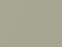 Champagne Metallic touch-up paint for Kia, code Y3, 2008