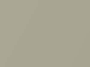 Champagne Metallic touch-up paint for Kia, code Y3, 2008