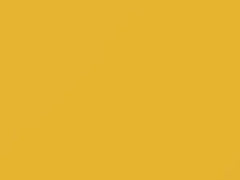Volkswagen Sunflower Yellow touch up paint 9166 2017 Beetle