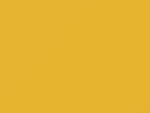Volkswagen Sunflower Yellow touch up paint 9166 2017 Beetle