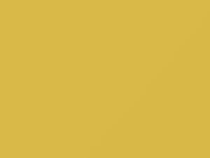 Mercedes-Benz Melitgelb touch up paint 1112 2010 All Models