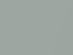 Light Green Mica touch-up paint for Toyota, code 6T4, 2015