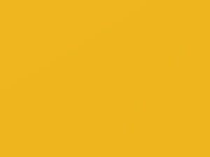 Fresh Yellow touch-up paint for Kia, code II, 2009