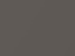 Bronze Shimmer Metallic touch-up paint for Nissan, code C14, 2006