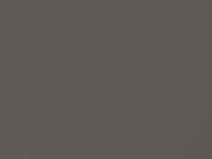 Bronze Shimmer Metallic touch-up paint for Nissan, code C14, 2006