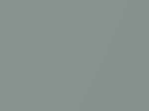 BMW Aventurin Silver Metallic touch up paint S58 2008 All Models