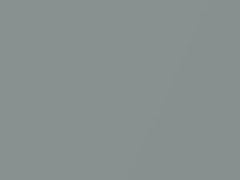 BMW Aventurin Silver Metallic touch up paint S58 2008 All Models