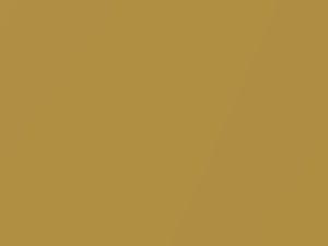 Mercedes-Benz Gold Metallic touch up paint 030 2004 All Models