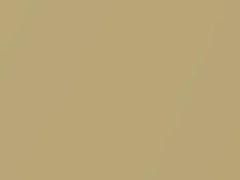 Gold Pearl touch-up paint for Nissan, code EJ0, 1990