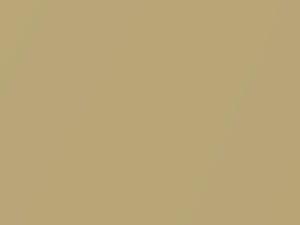 Gold Pearl touch-up paint for Nissan, code EJ0, 1990
