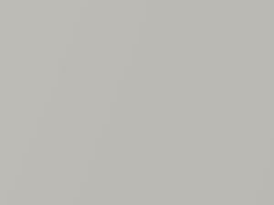 Silver Metallic touch-up paint for Toyota, code 1C8, 2006
