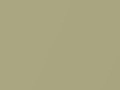 Melon Metallic touch-up paint for Smart, code C92L, EAR, 2011