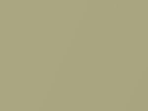 Melon Metallic touch-up paint for Smart, code C92L, EAR, 2011