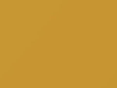 Yellow touch-up paint for Nissan, code ES3, 2004