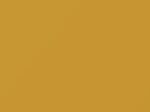 Yellow touch-up paint for Nissan, code ES3, 2004