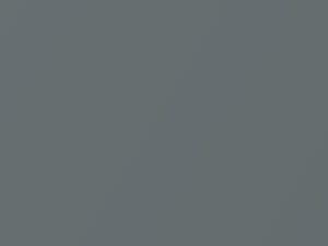 Light Spiral Gray Metallic touch-up paint for Buick Rendezvous, code 89, 2004