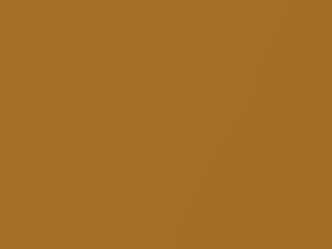 Sunray Gold Metallic touch-up paint for Mercury, code 7019, C6, M7019A, 2001