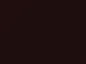 Mercedes-Benz Velvet Red/Velvetrot touch up paint 3583 2009 All Models