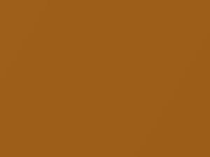 Tambora Flame Metallic touch-up paint for Land Rover, code 810, EYR, 2007