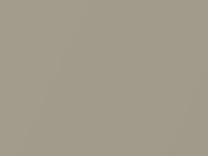 Silky Beige Metallic touch-up paint for Hyundai Santro, code DY, 2009