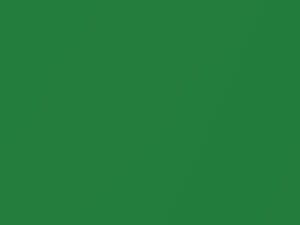 Electrc Lime Green Metallic touch-up paint for Jeep, code PGL, 2005