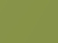 Bright Green Metallic touch-up paint for Kia, code 2D, 2010