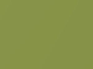 Bright Green Metallic touch-up paint for Kia Rio, code 2D, 2007