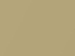 Gold Metallic touch-up paint for Toyota, code 596, 2005