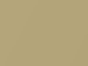 Gold Metallic touch-up paint for Toyota, code 596, 2005
