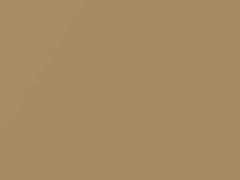 Goldish Beige Metallic touch-up paint for Daewoo, code 67U, 2004