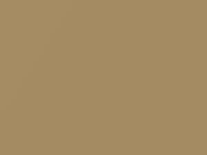 Goldish Beige Metallic touch-up paint for Daewoo, code 67U, 2004