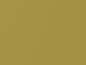 Vivid Yellow Pearl touch-up paint for Nissan, code E42, 2007