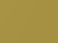 Vivid Yellow Pearl touch-up paint for Nissan, code E42, 2006