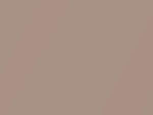 Bronze Beige Metallic touch-up paint for Kia, code D5, 2011