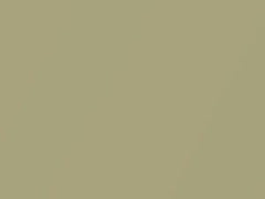 BMW Pistachio Green Metallic touch up paint 468 2005 All Models