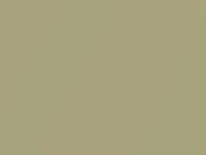 BMW Pistachio Green Metallic touch up paint 468 2003 Z3