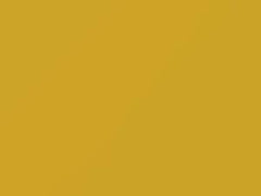 Yellow touch-up paint for Toyota, code 5A6, 2016