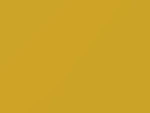 Yellow touch-up paint for Toyota, code 5A6, 2016
