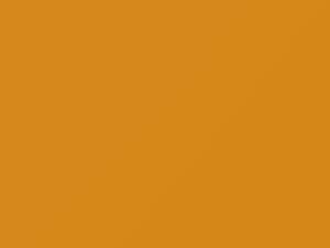 Yellow touch-up paint for Nissan, code E60, 2020