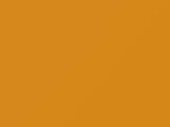 Yellow touch-up paint for Nissan, code E60, 2007