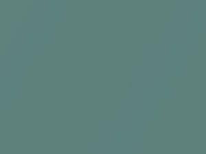 BMW Silk Green Metallic touch up paint 901 2002 All Models