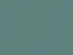 BMW Silk Green Metallic touch up paint 901 2002 All Models