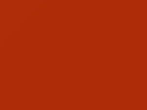 Volkswagen Leuchtorange touch up paint 9217 2020 All Models