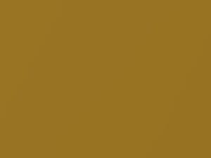 Millenium Gold Mica touch-up paint for Toyota, code 580, 2004