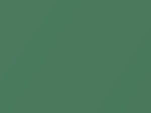 Jadegruen Pearl touch-up paint for Volkswagen Golf, code C6T, LC6T, N8, 1995