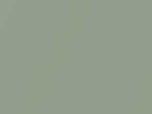 Light Green Metallic touch-up paint for Toyota, code 6Q2, 2000