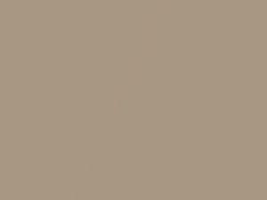 Light Driftwood Metallic touch-up paint for Cadillac Deville Concour, code 33, 5322, WA5322, 1996