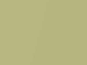 Matcha Cream Metallic touch-up paint for Honda, code G520M, 2005